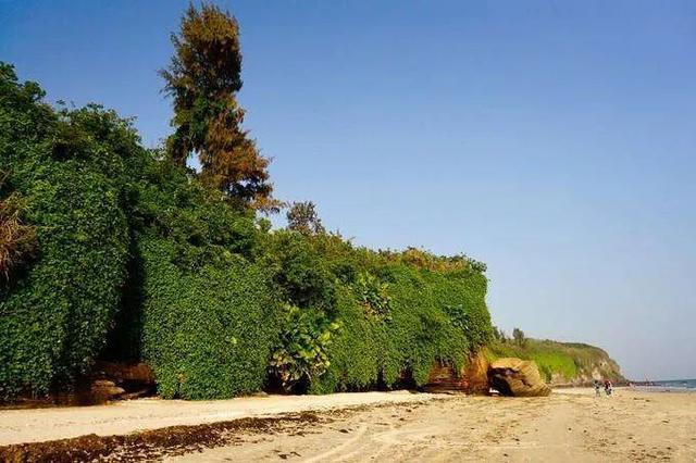 成都到涠洲岛旅游攻略自由行,成都去北海涠洲岛旅游攻略