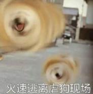 见面4次就订婚，被嘲胖后瘦20斤，任性大s凭啥在娱乐圈混26年？