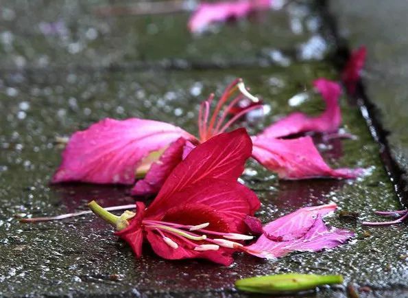 泰康人寿理赔340万的处理怎样了,泰康人寿意外险理赔案例