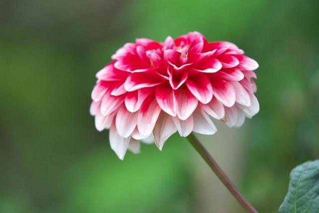 十二星座女无法逃避的爱情黑洞,十二星座无法抵抗的女生