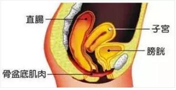 无法控制小便怎么办,为什么生完宝宝后尿的次数多了