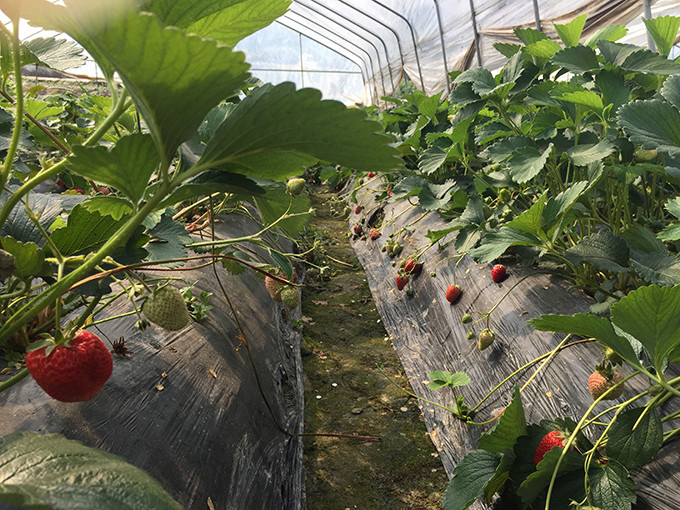 重庆记忆市井,重庆记忆满满