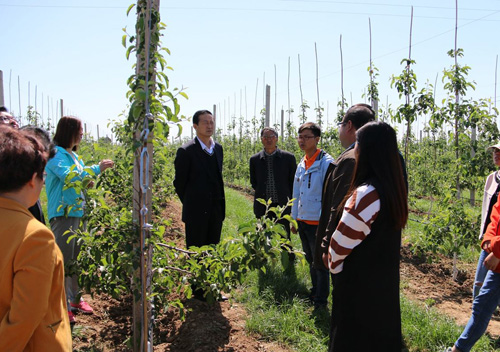 比打工更有价值的创业项目,比打工好的挣钱小项目