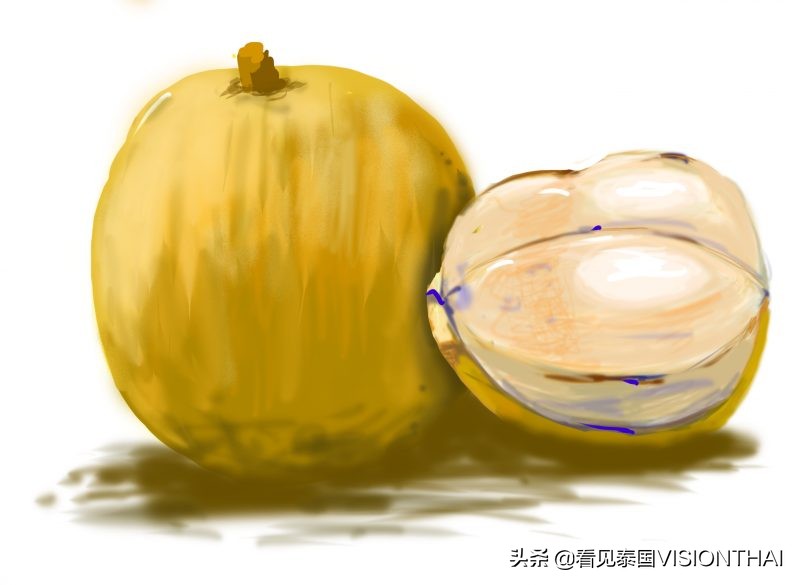 认识50种水果蔬菜,认识热带水果菠萝