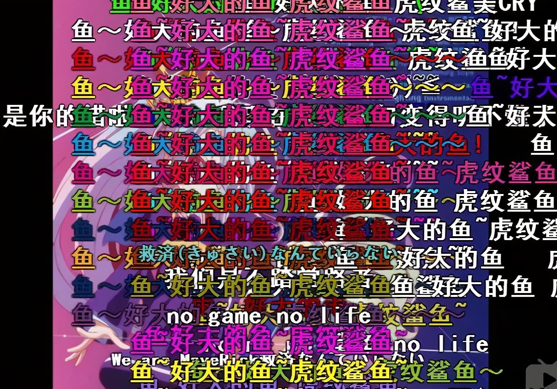 虎纹鸭嘴鲨鱼寓意什么意思,巴虎纹鲨鱼是什么意思