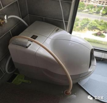 如何领取一只猫咪,如何获得一只猫咪