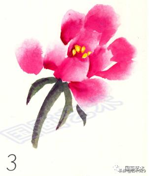 国画技法简单易学的写意牡丹,国画最简单牡丹画法教学视频