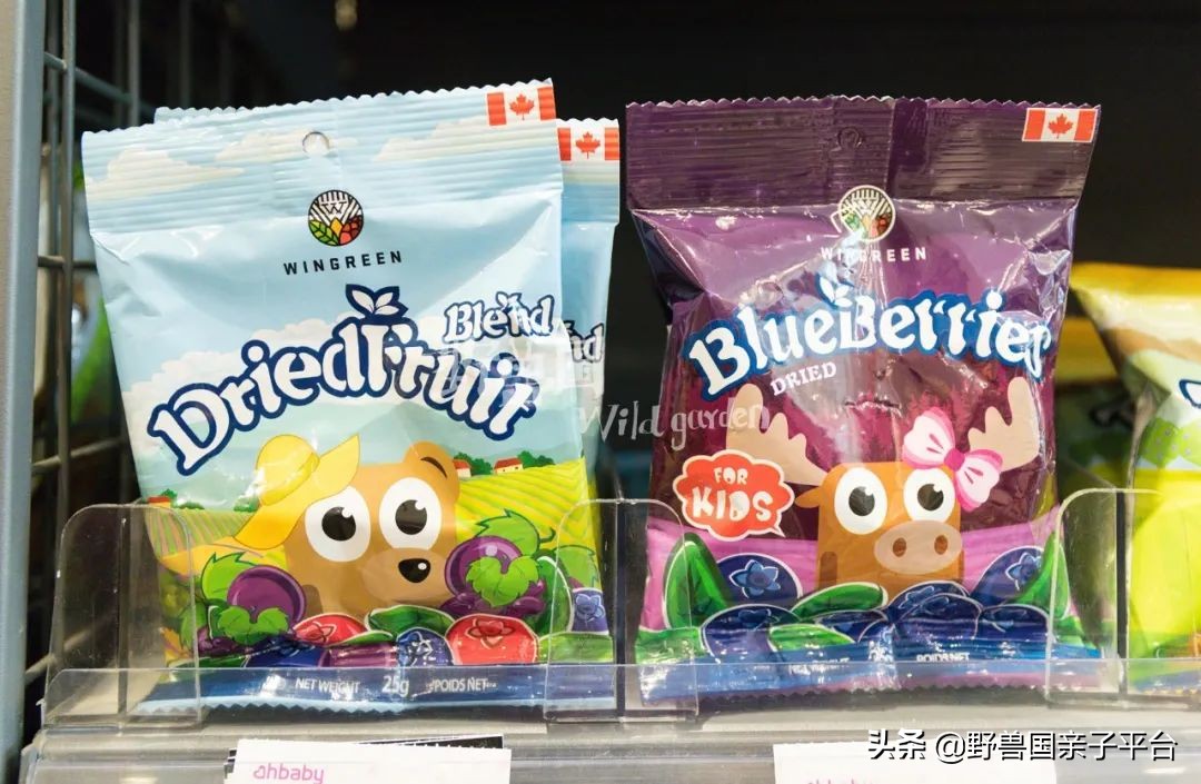 和神兽和平相处,和神兽一起生活是什么感受