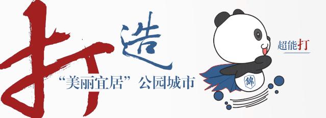 成都超能格斗,成都超能训练营