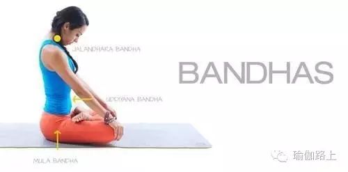 瑜伽练习中，如何启动收颔收束（喉咙锁）-经典