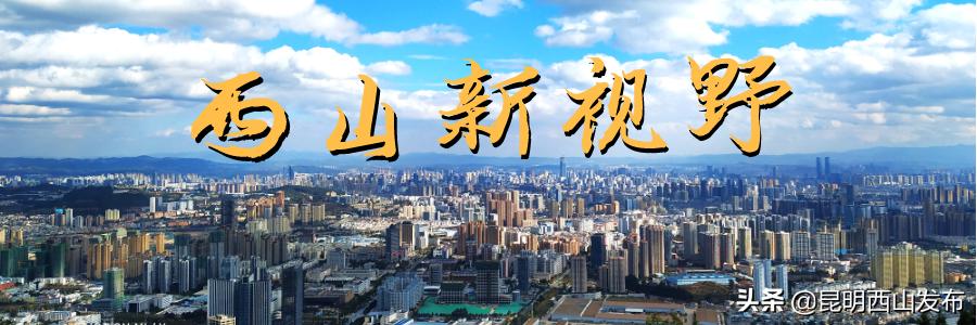 西山区2021年末gdp,西山区2020年主要经济指标
