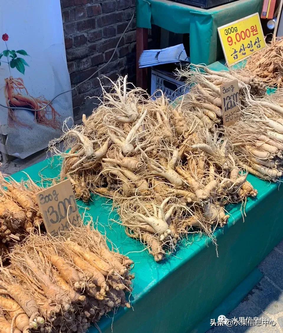 韩国的蔬菜水果批发市场,韩国最便宜的苹果水果