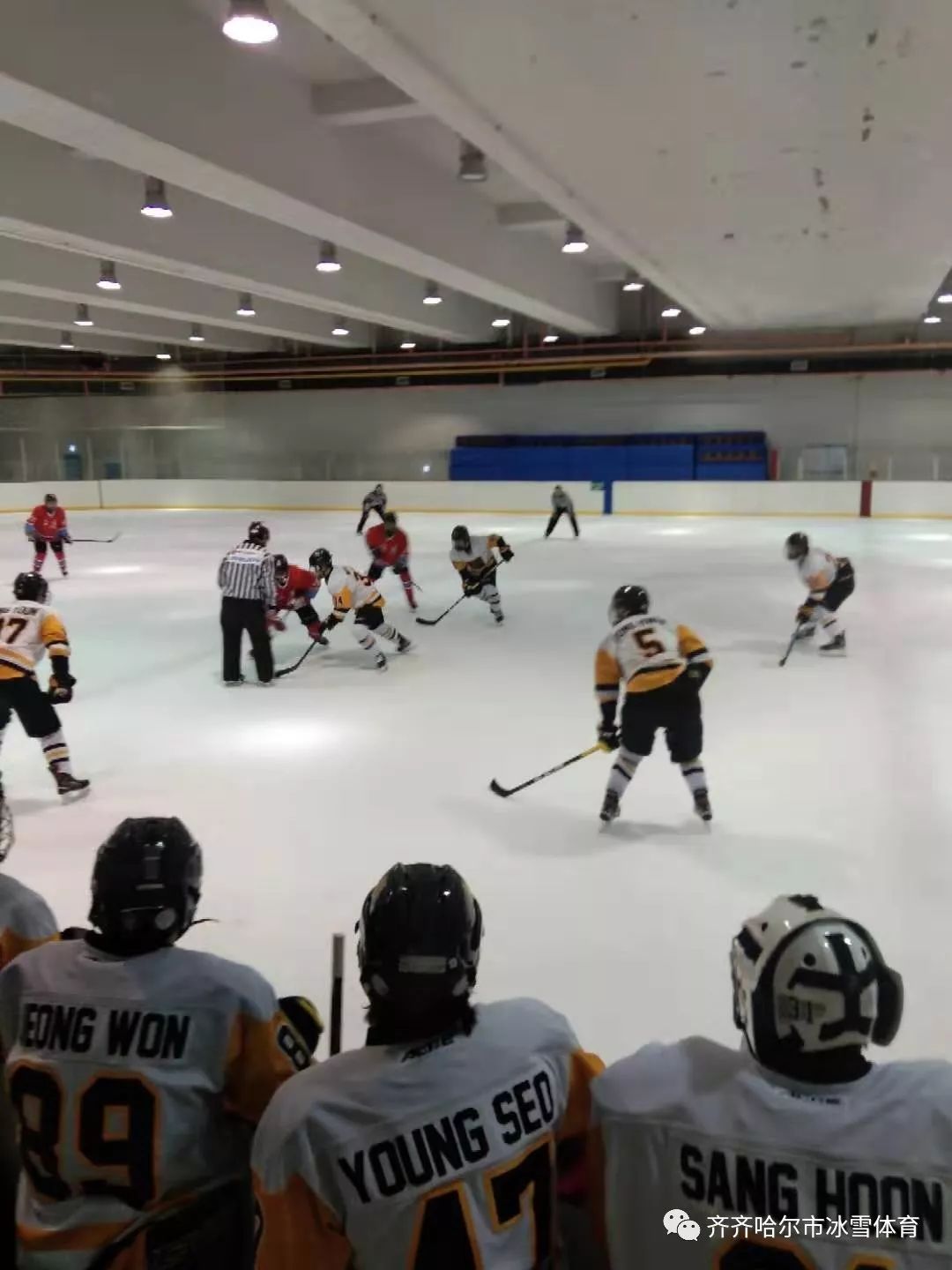 齐齐哈尔市冰雪运动赛事统计表,齐齐哈尔体育赛事