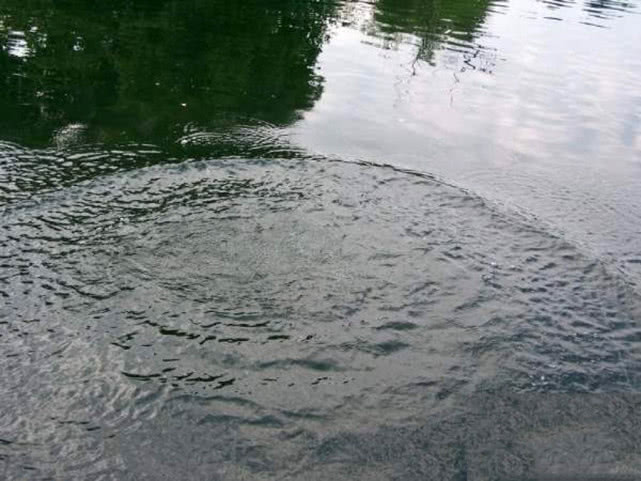 钓到奇怪的乌龟,钓起巨型乌龟