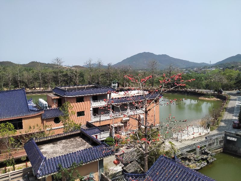 海丰莲花山度假村可以免费进吗,汕尾莲花山度假村游玩攻略