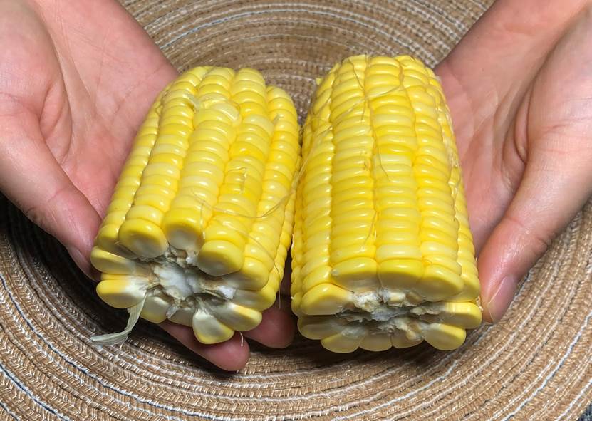 玉米粒上有一个小开关,原来玉米上有个小开关