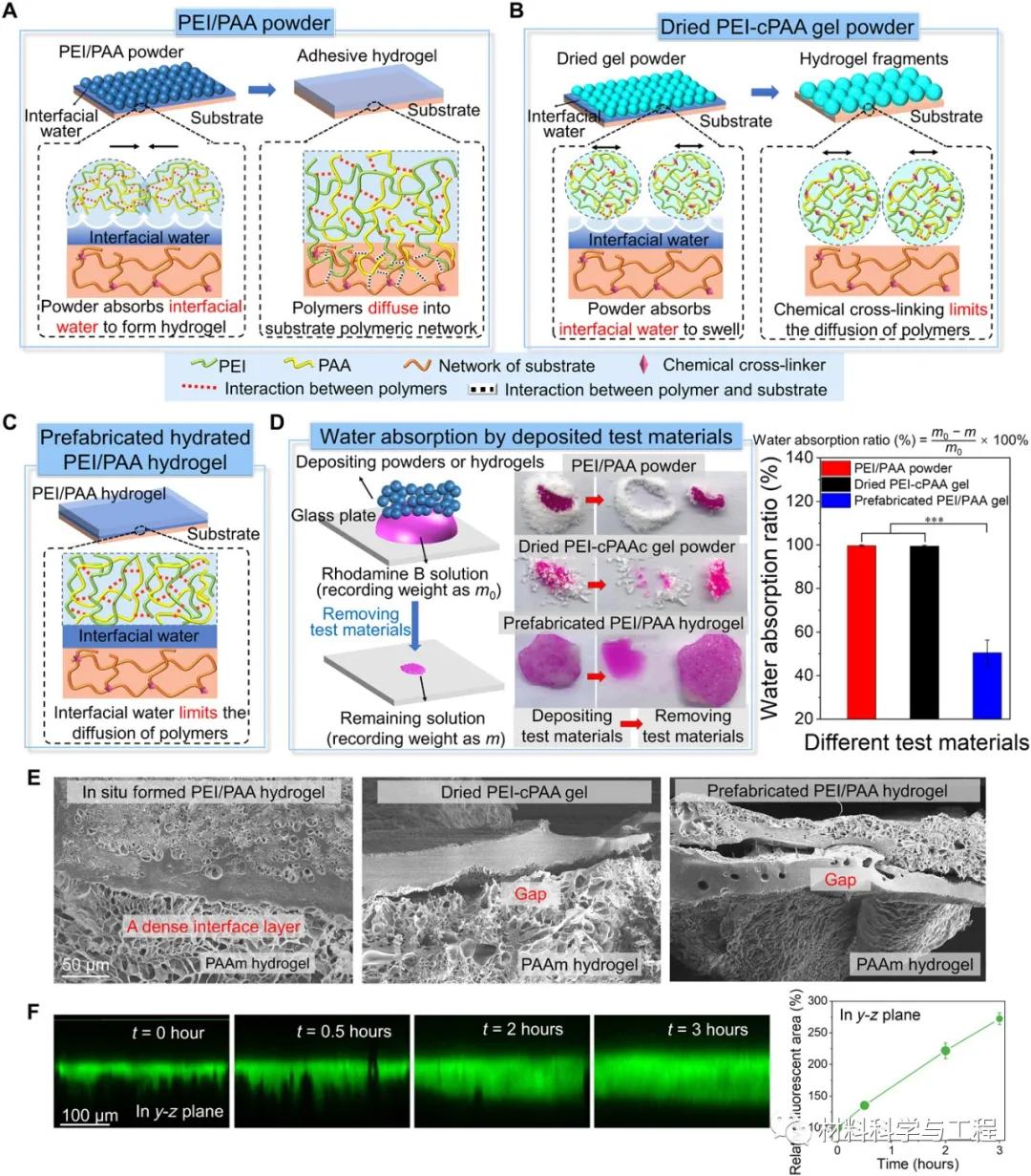 Science子刊:涂点粉,加点水,2秒就让伤口愈合、止血?