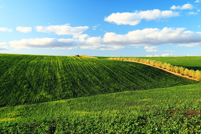 杂文系列六十二:乡村求医记