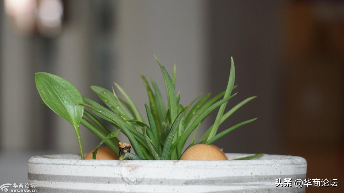 疫情下的城市生活纪录片,西安疫情每天新增记录图