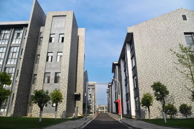 就业率超95和90,就业率95以上的学校