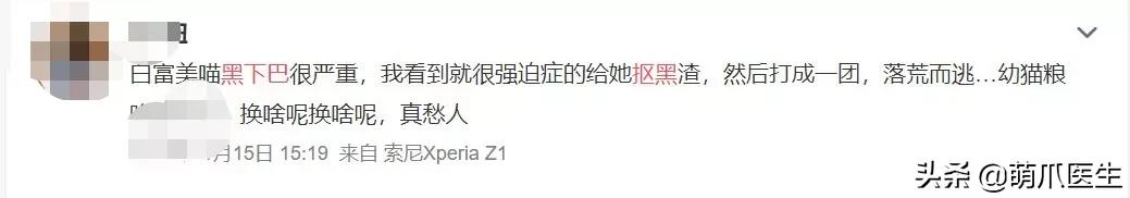 猫咪下巴长了黑头？千万别去抠，那是猫咪患上了毛囊炎的症状