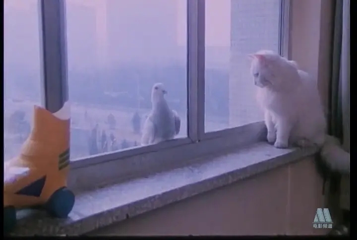 《力王》,《人蛇大战》你还记得那些“少儿不宜”的电影吗?