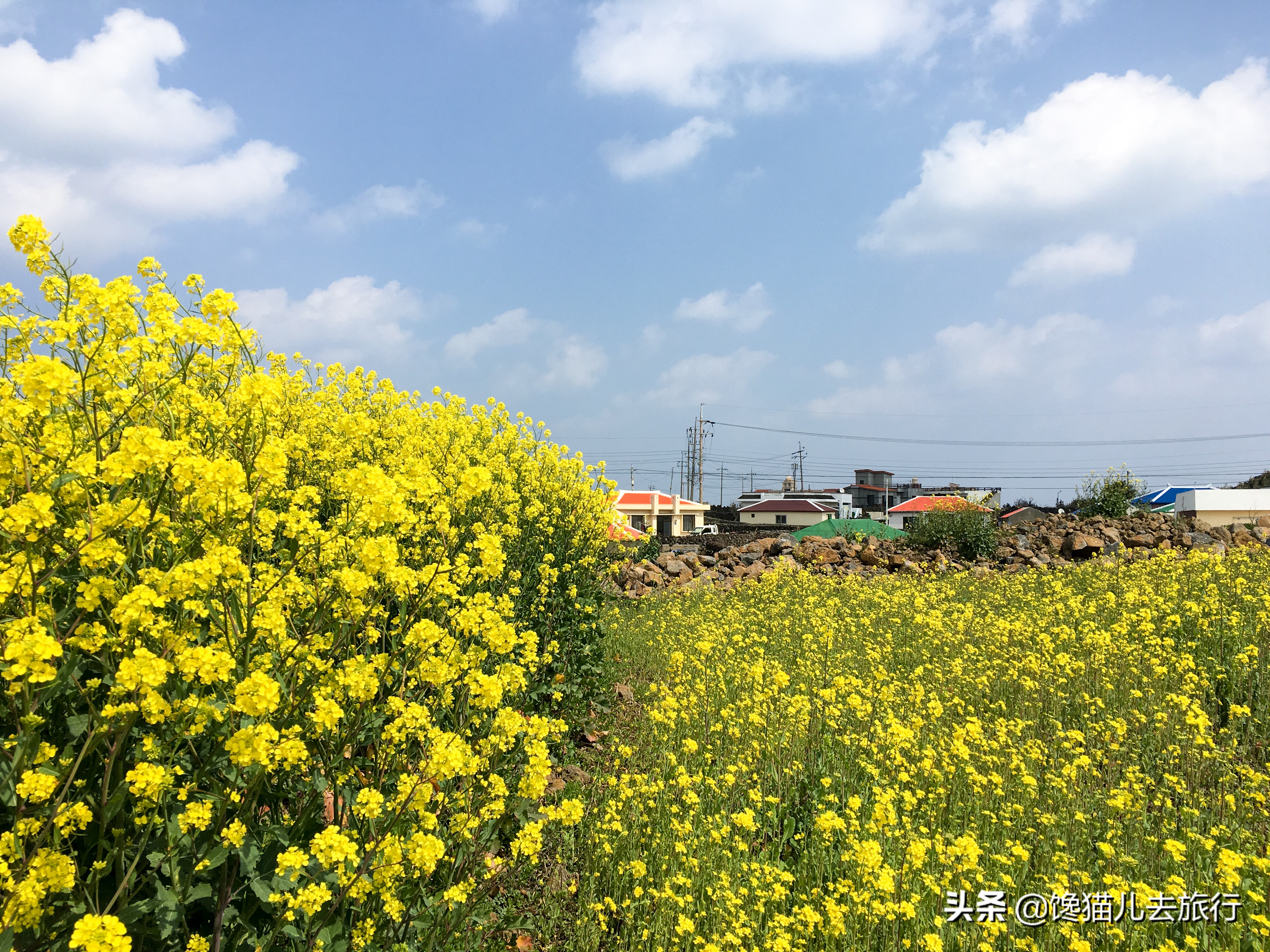 韩国汗蒸馆内中文,韩国汗蒸馆中文
