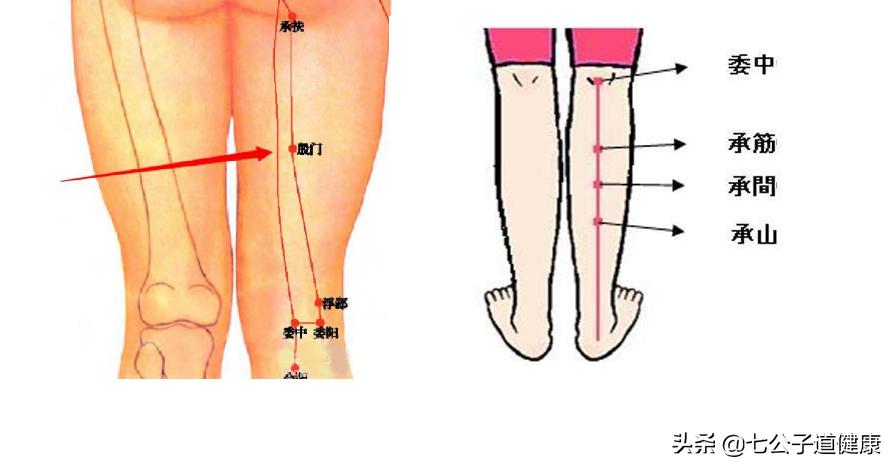 在家就可以做的腿部按摩手法,腿粗侧面按摩手法