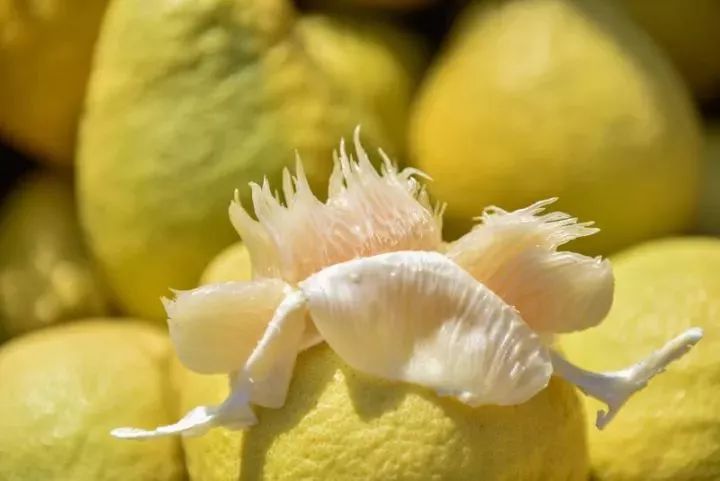 容县沙田柚挑选视频,如何挑选沙田柚视频