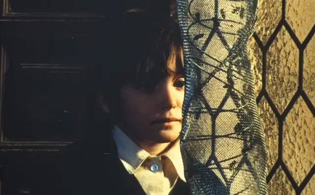 阿莫多瓦作品全集,阿莫多瓦最新消息