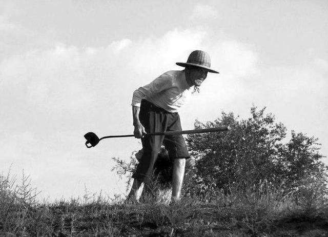 没钱赡养老人怎么办,没钱了怎么办父母