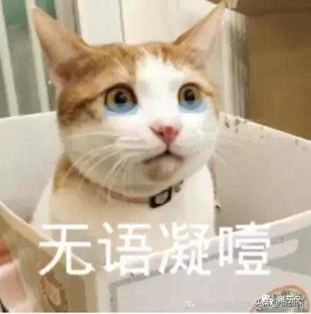 如果得了鼠疫怎么急救呢,如果得了鼠疫怎么急救