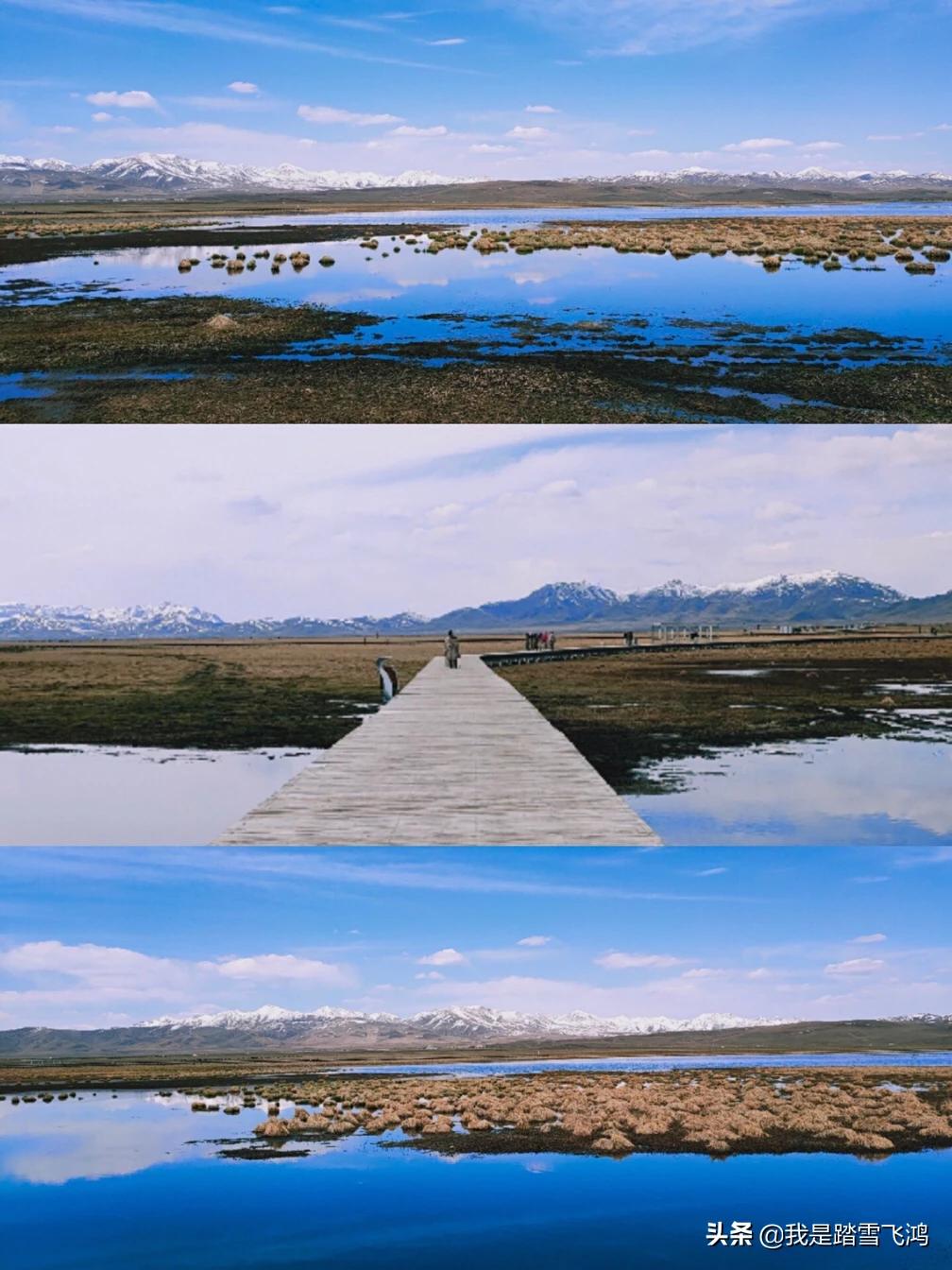 川西若尔盖7天自驾游,自驾9天若尔盖