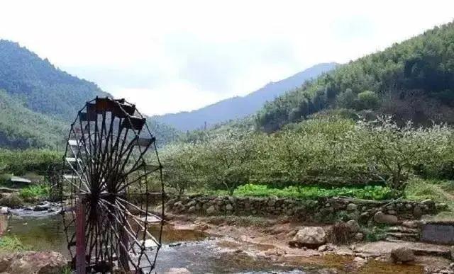 东方夏湾拿酒店温泉游玩攻略,国庆出去旅游哪里好玩