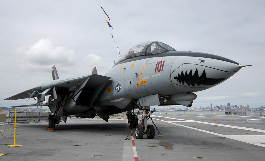 猫咪需要哪些用品,猫迷惑新技能