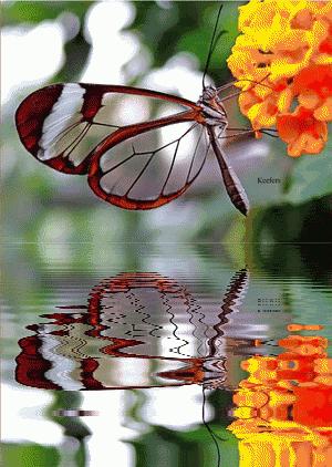 「六一特刊」六岁小主播石玮杭《童年的水墨画》