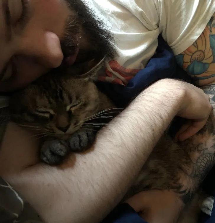 氛围感治愈温柔猫咪图片2张,带有人物与猫咪的温馨治愈图