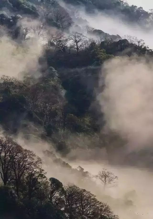 春节广西自驾,广西春节自驾旅游景点推荐