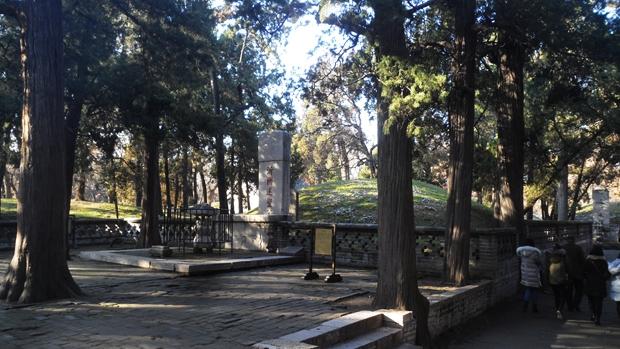 孔林是最大的氏族墓地吗,孔林最大墓葬群