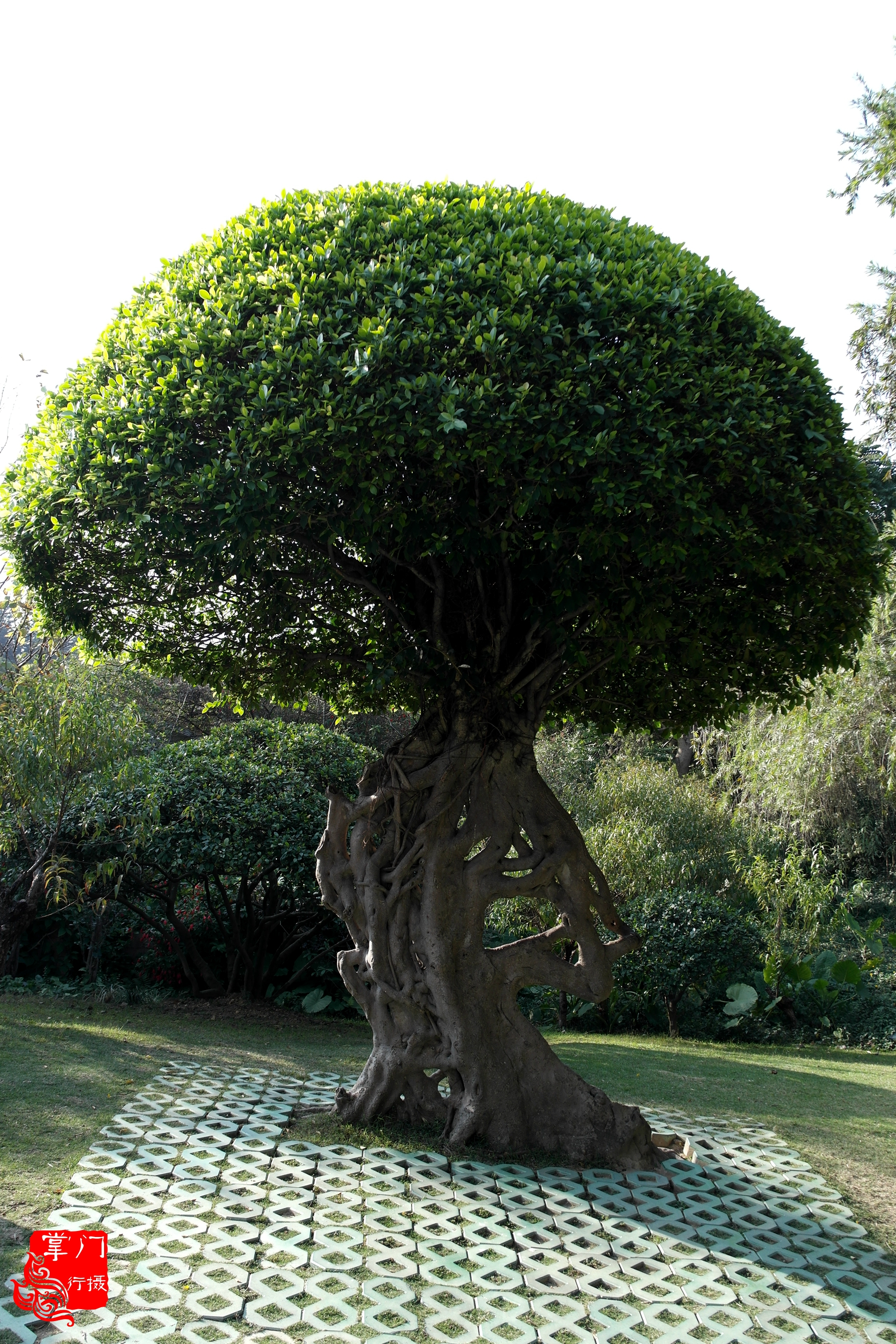 广州白云山游记一次身心愉悦之旅,广州白云山云台旅游