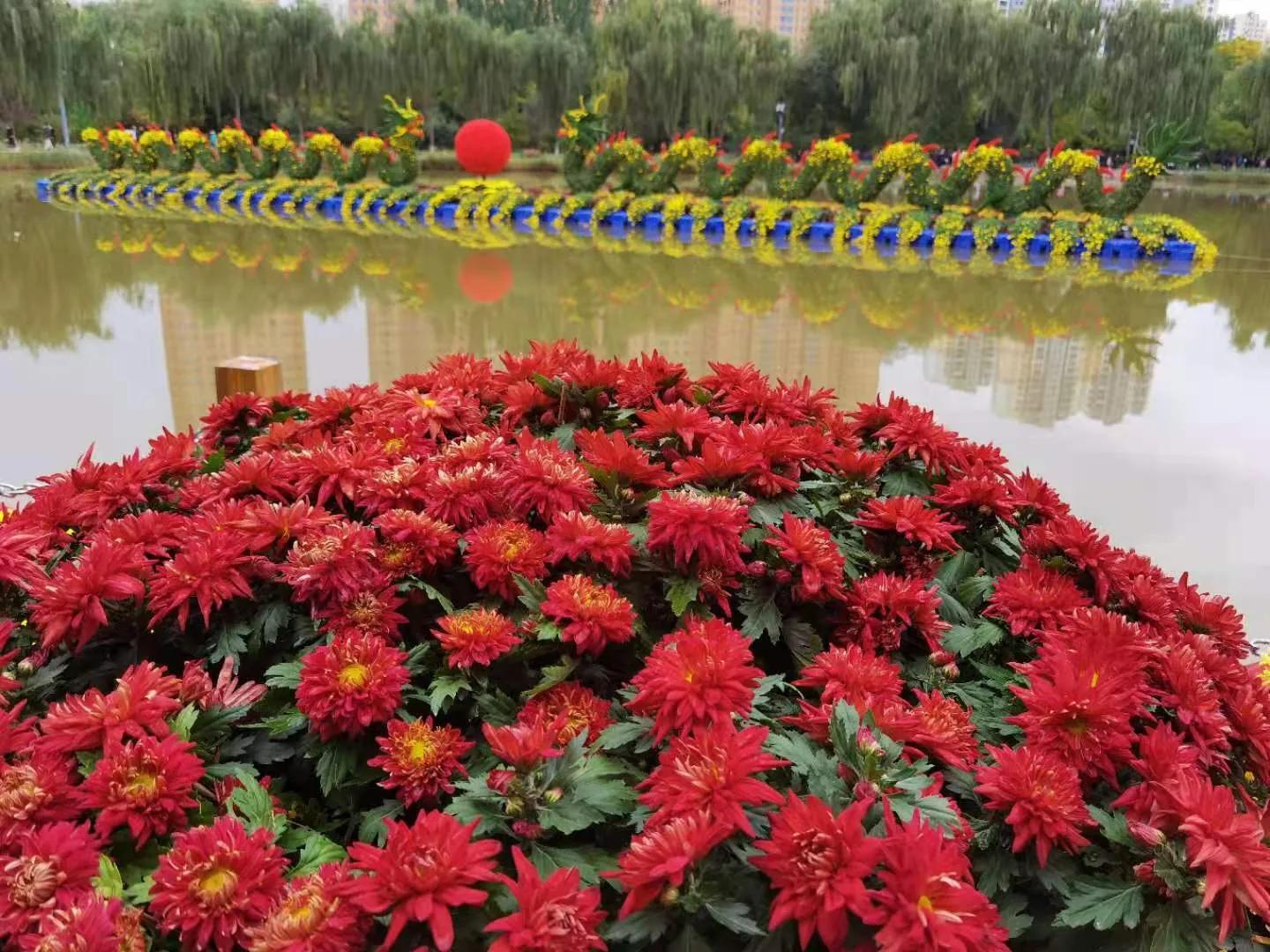 孟军创作的原声,孟军诗歌完整版