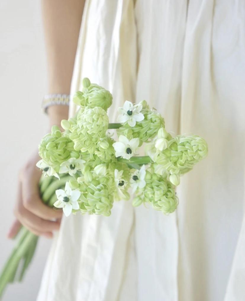 家里要有氛围感什么花比较好,家里高级的花