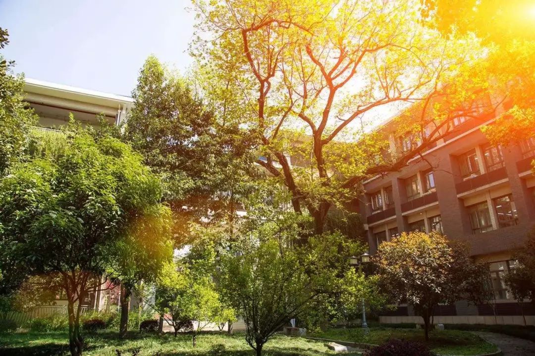 湖北省百强中学排名,最新湖北省高中100强