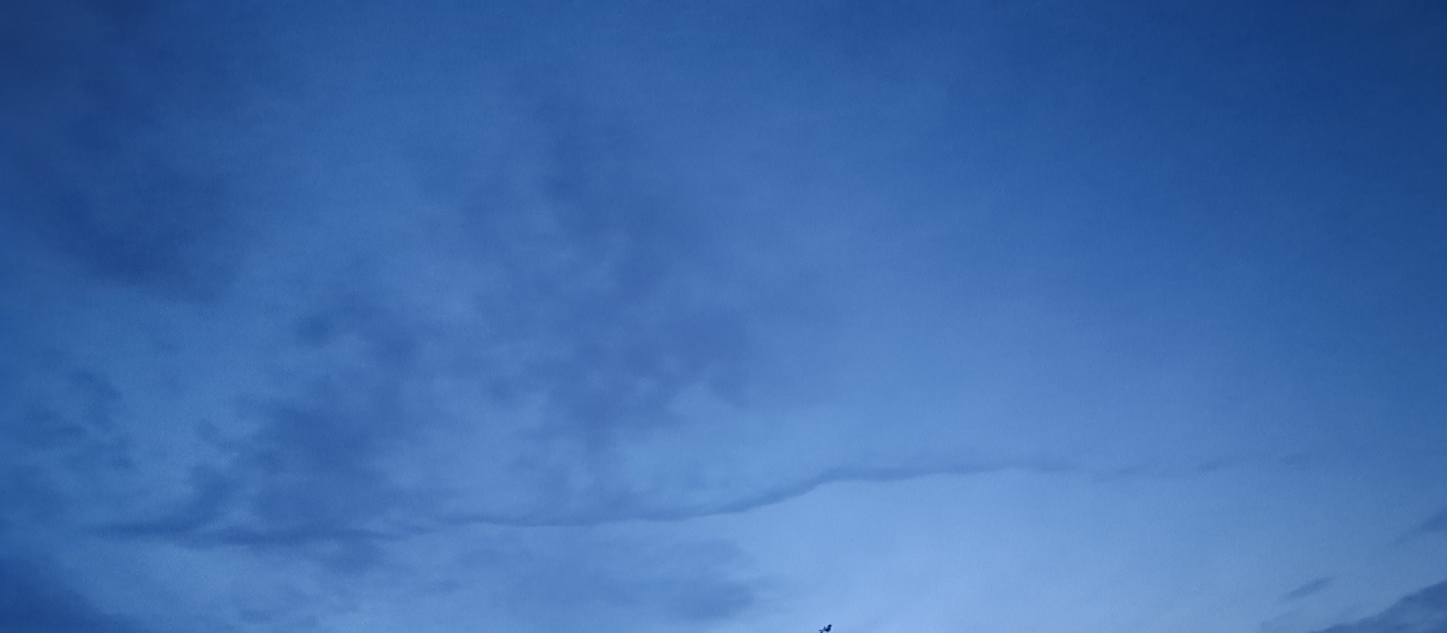 减肥第49天减重20斤,减肥第59天体重