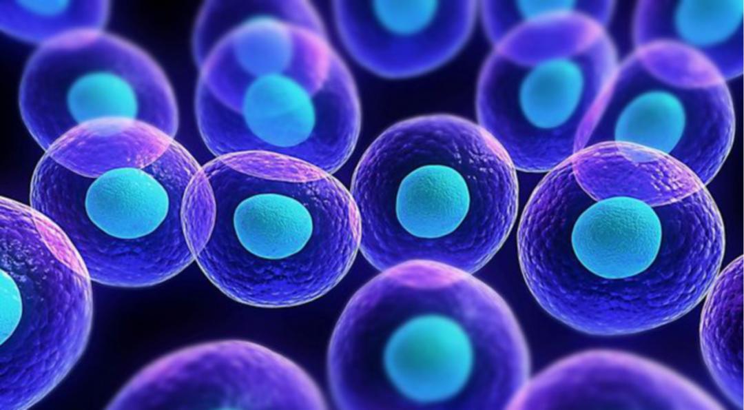 氨甲环酸美白精华,氨甲环酸日本