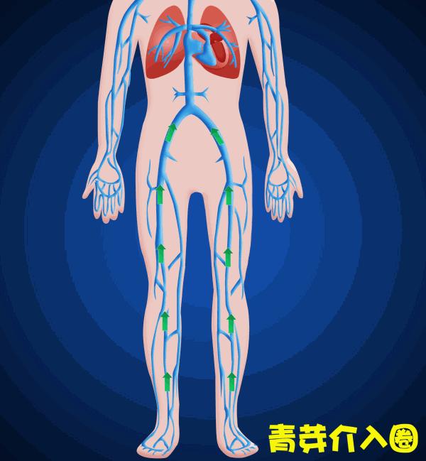 腿肿要警惕四种病,人的腿肿是什么病的前兆