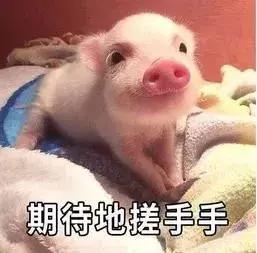 又有敢于直面虎扑的男人了?他真不怕挨骂吗……