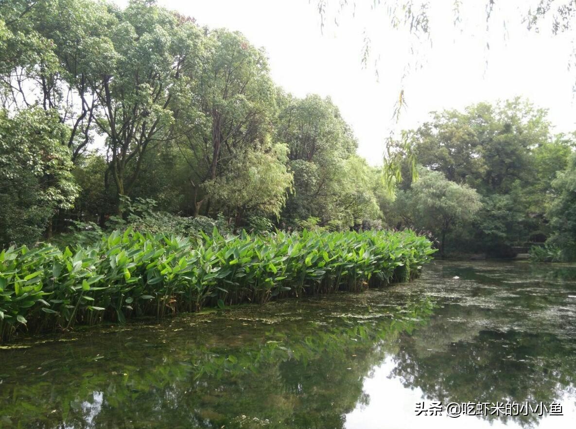 杭州小隐园图文,小隐园杭州拍照