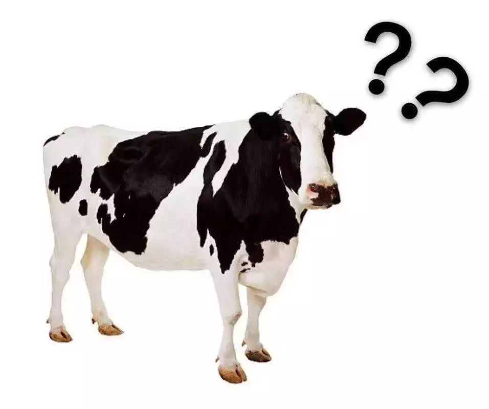 绝影增高15厘米,绝影增高几厘米