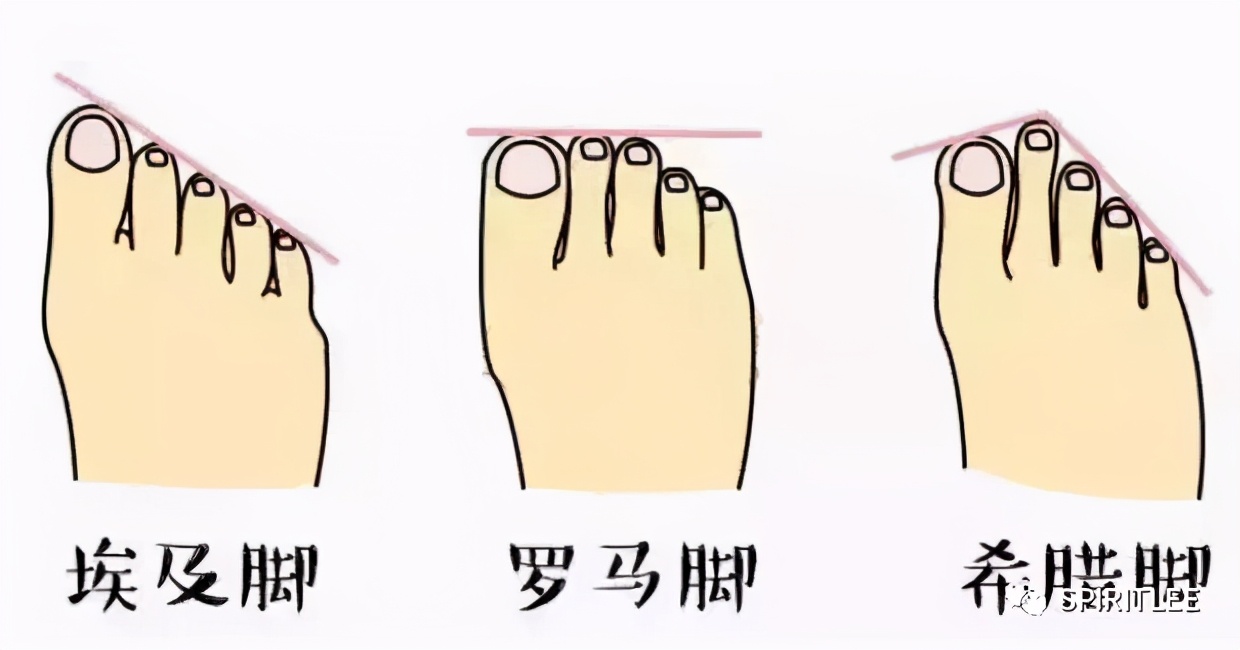 怎么知道自己什么脚型,你知道自己的脚型吗